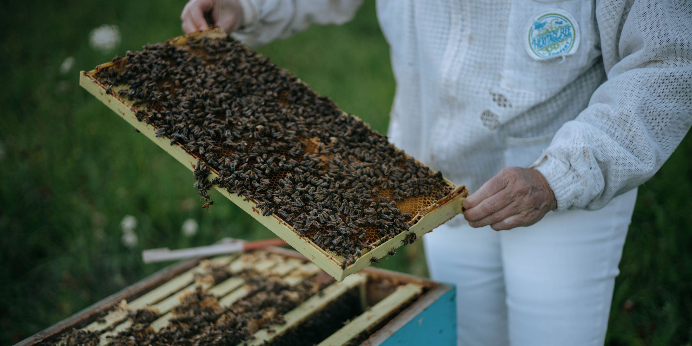 Premium honey is available for wholesale in your store. Contact us today to explore selling our honey