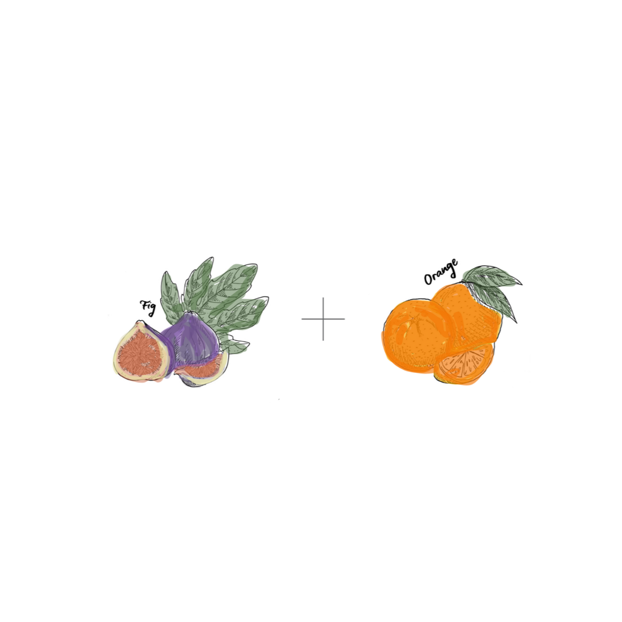 Fig & Orange Creamed Honey