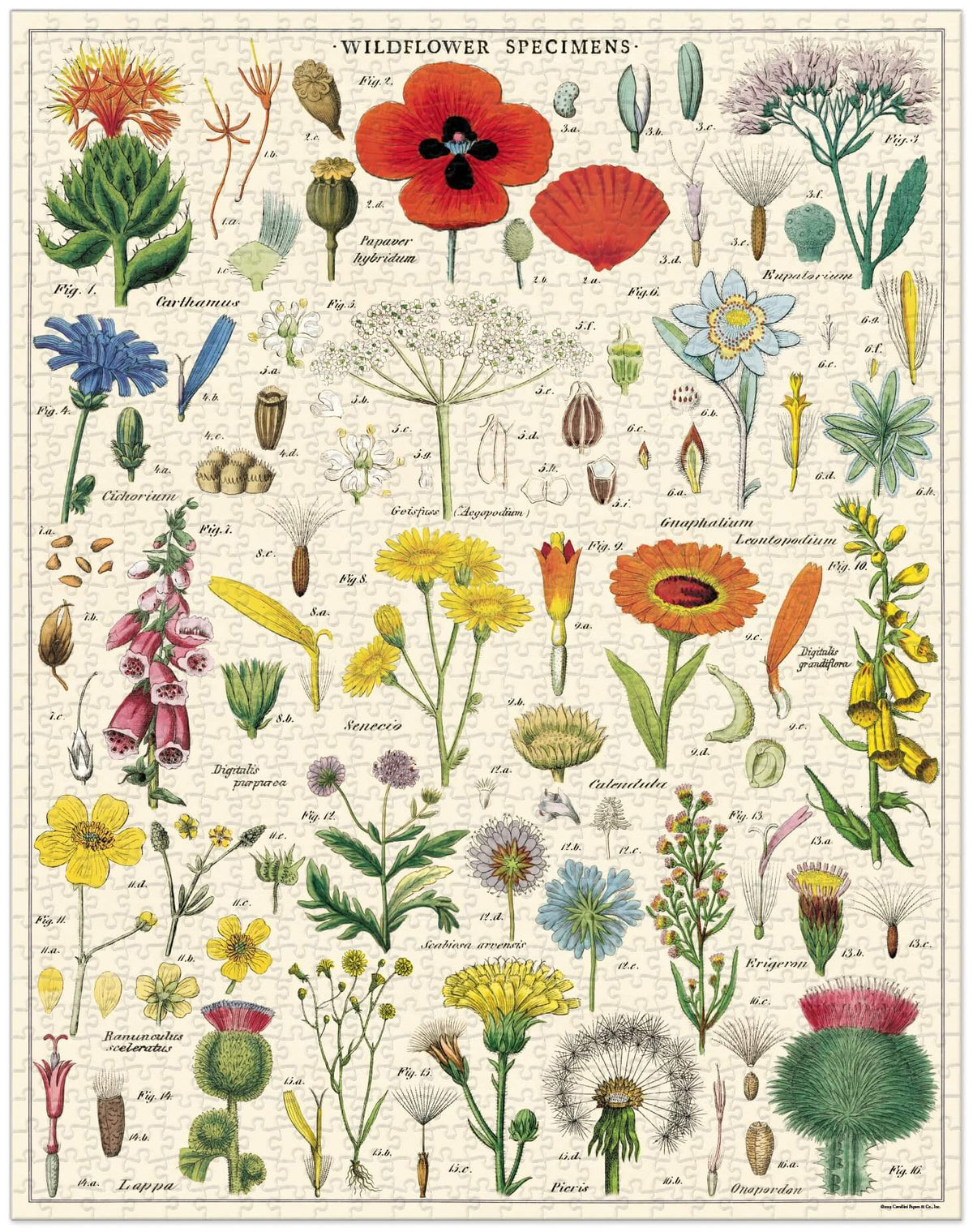 Vintage Wildflowers Puzzle - Heritage Bee Co.